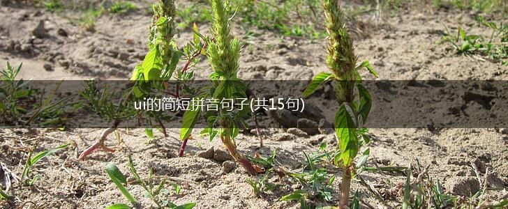 ui的简短拼音句子(共15句),第1张