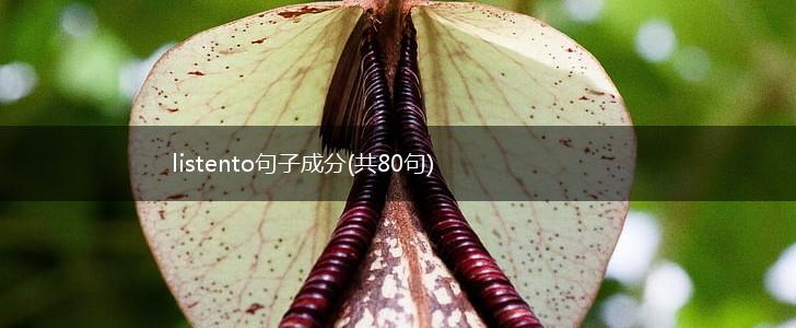 listento句子成分(共80句),第1张