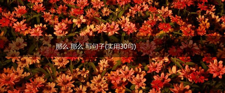 那么 那么 写句子(实用30句),第1张