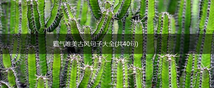 霸气唯美古风句子大全(共40句),第1张