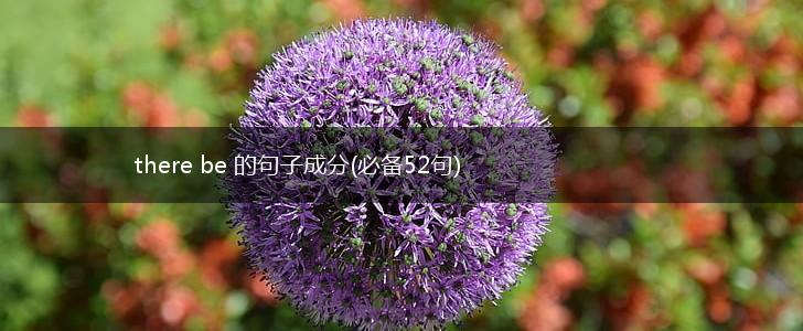 there be 的句子成分(必备52句),第1张