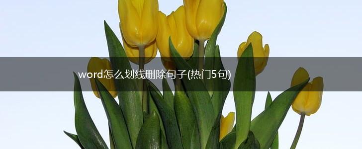 word怎么划线删除句子(热门5句),第1张
