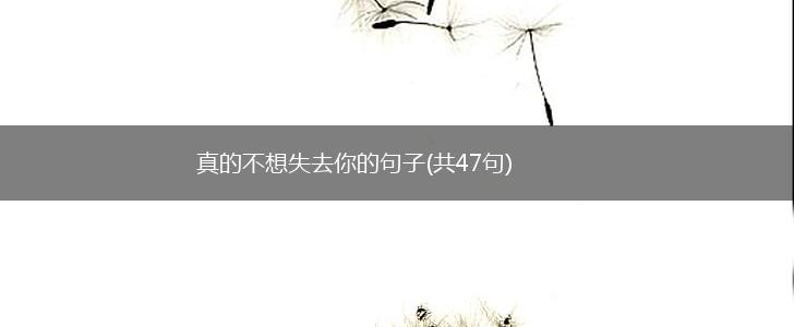 真的不想失去你的句子(共47句),第1张