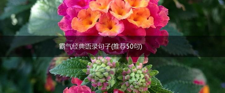 霸气经典语录句子(推荐50句),第1张