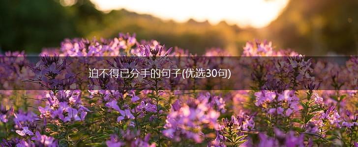 迫不得已分手的句子(优选30句),第1张