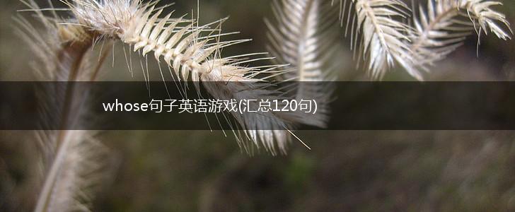 whose句子英语游戏(汇总120句),第1张