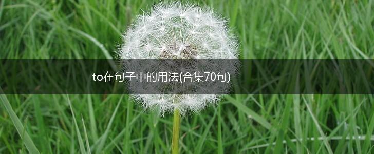 to在句子中的用法(合集70句),第1张