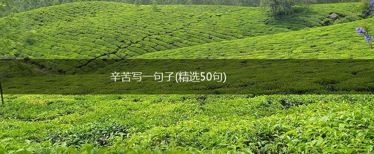 辛苦写一句子(精选50句),第1张