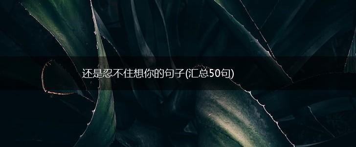 还是忍不住想你的句子(汇总50句),第1张