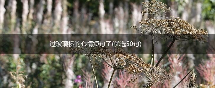过玻璃桥的心情短句子(优选50句),第1张