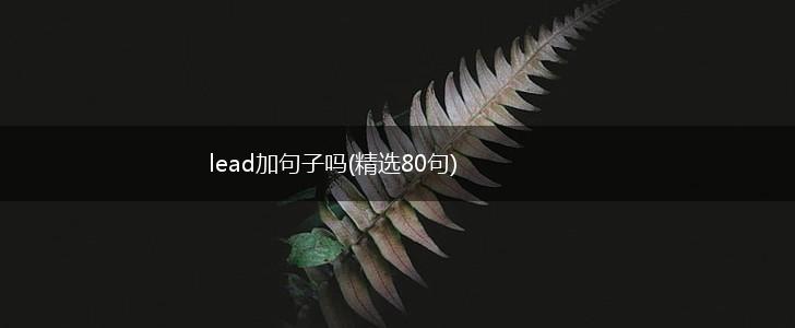 lead加句子吗(精选80句),第1张