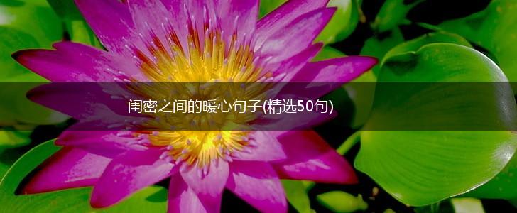 闺密之间的暖心句子(精选50句),第1张