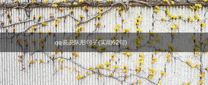 qq说说队形句子(实用62句),第1张