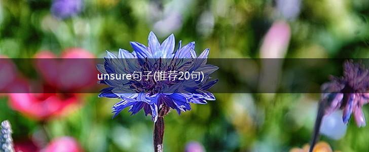 unsure句子(推荐20句),第1张