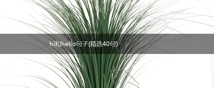 hi和hello句子(精选40句),第1张
