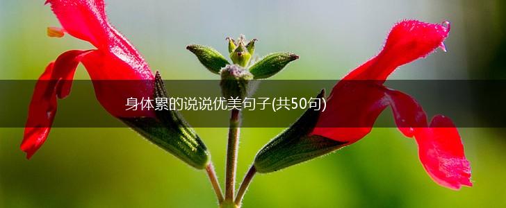 身体累的说说优美句子(共50句),第1张