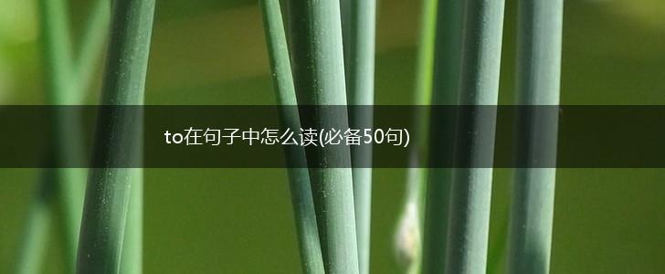 to在句子中怎么读(必备50句),第1张