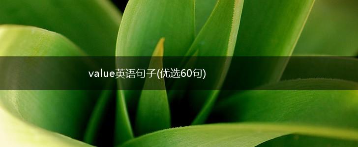 value英语句子(优选60句),第1张