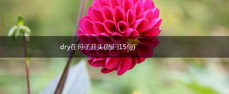 dry在句子开头(热门15句),第1张