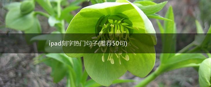 ipad刻字热门句子(推荐50句),第1张