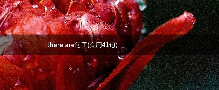 there are句子(实用41句),第1张