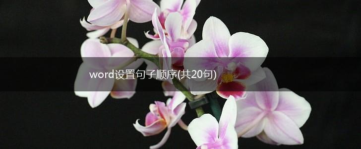 word设置句子顺序(共20句),第1张