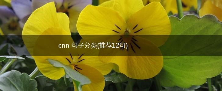 cnn 句子分类(推荐12句),第1张