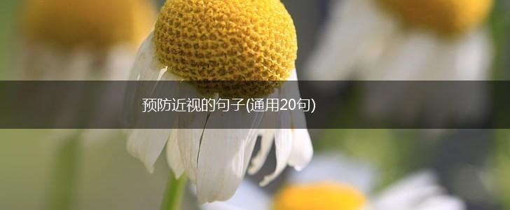 预防近视的句子(通用20句),第1张