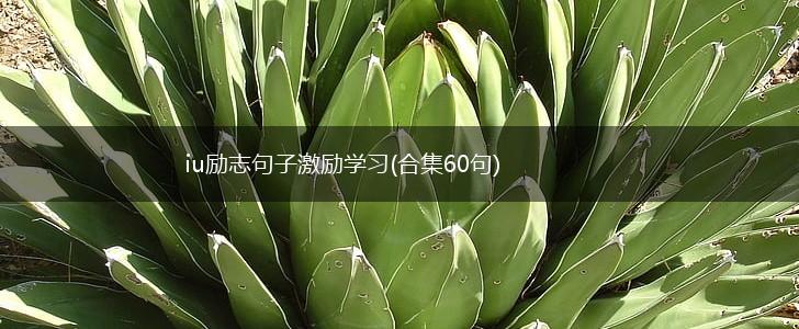 iu励志句子激励学习(合集60句),第1张