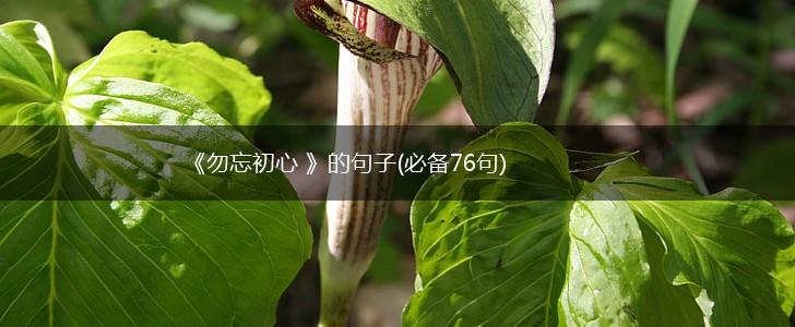 《勿忘初心 》的句子(必备76句),第1张