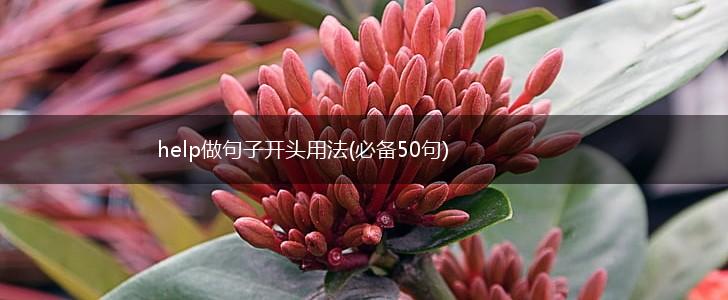 help做句子开头用法(必备50句),第1张