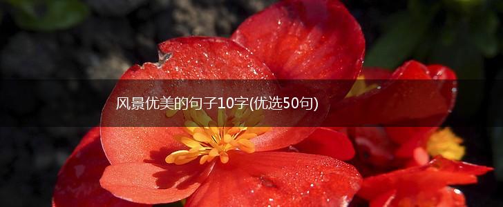 风景优美的句子10字(优选50句),第1张