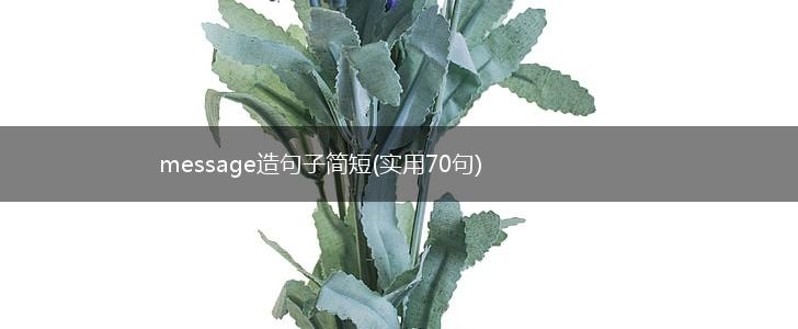 message造句子简短(实用70句),第1张