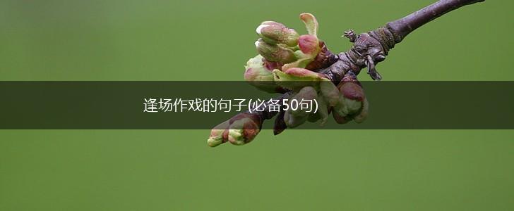 逢场作戏的句子(必备50句),第1张