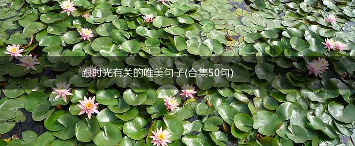 跟时光有关的唯美句子(合集50句),第1张