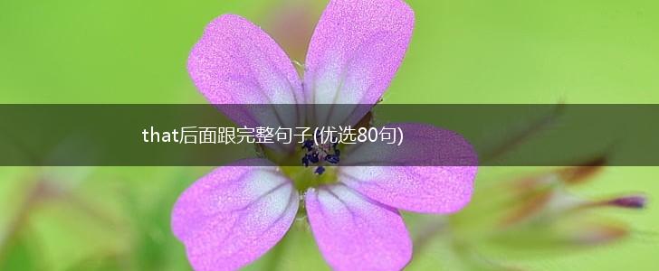 that后面跟完整句子(优选80句),第1张