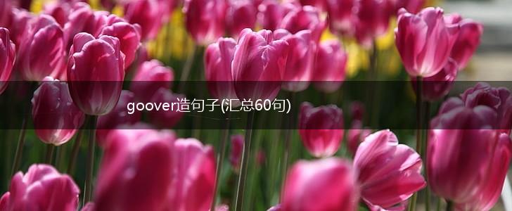 goover造句子(汇总60句),第1张