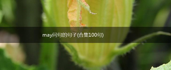 may问句的句子(合集100句),第1张