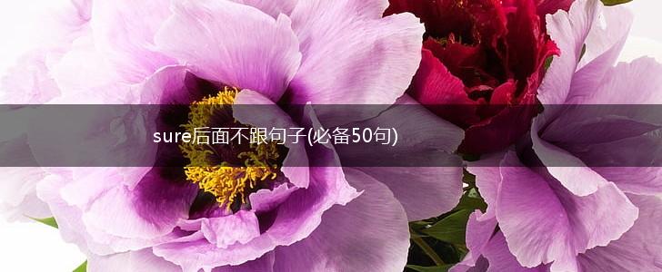 sure后面不跟句子(必备50句),第1张