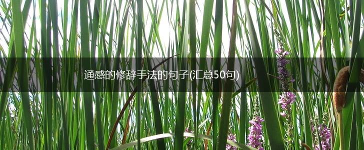 通感的修辞手法的句子(汇总50句),第1张
