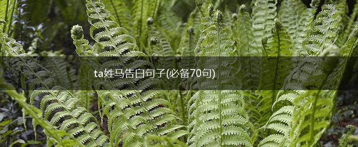 ta姓马告白句子(必备70句),第1张