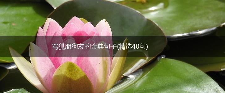 骂狐朋狗友的金典句子(精选40句),第1张