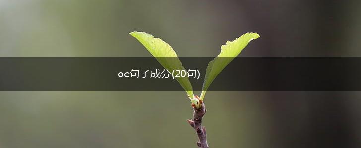 oc句子成分(20句),第1张