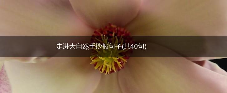 走进大自然手抄报句子(共40句),第1张
