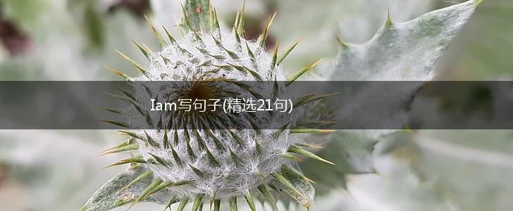 Iam写句子(精选21句),第1张