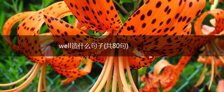 well造什么句子(共80句),第1张