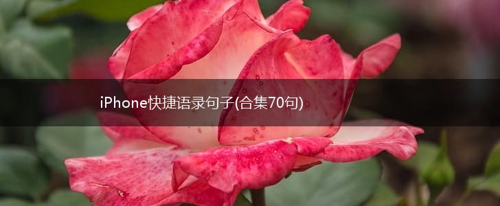 iPhone快捷语录句子(合集70句),第1张