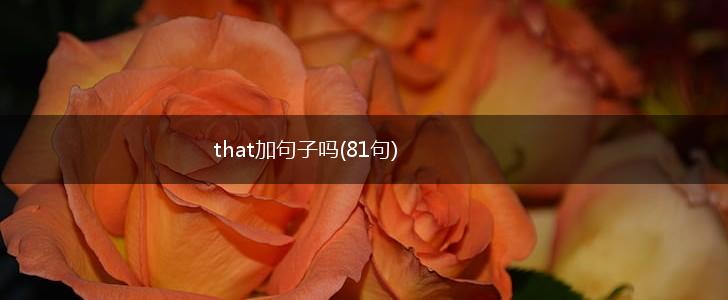 that加句子吗(81句),第1张