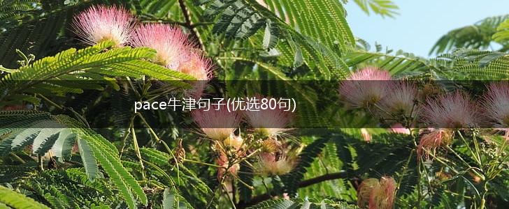 pace牛津句子(优选80句),第1张