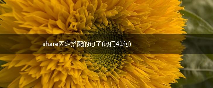share固定搭配的句子(热门41句),第1张